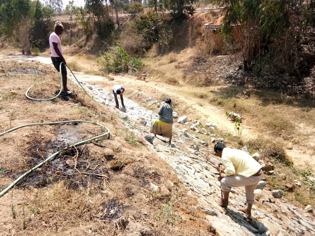 Developmental Activities